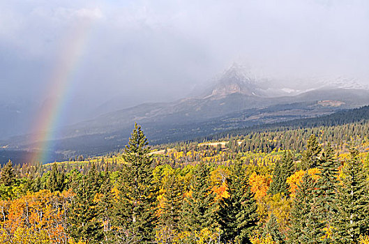 彩虹,道路,冰川国家公园,蒙大拿,美国