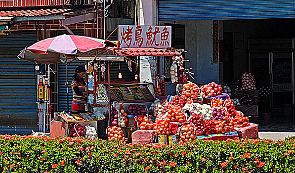 台湾各地盛产优质特色水果