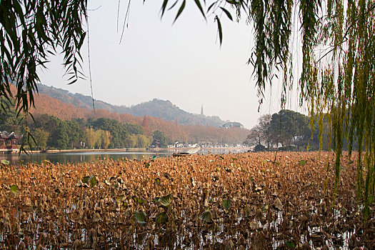杭州西湖秋天美丽景色