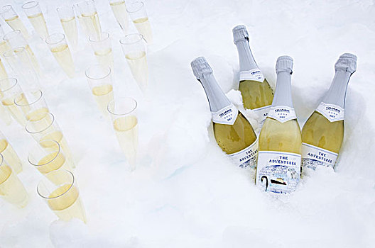 南极,罗斯海,香槟,庆贺