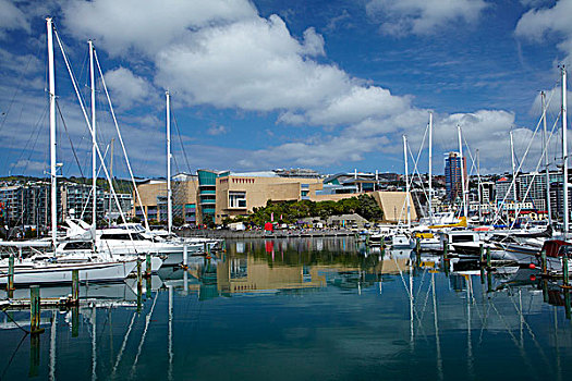 码头,父亲,博物馆,新西兰,惠灵顿,北岛