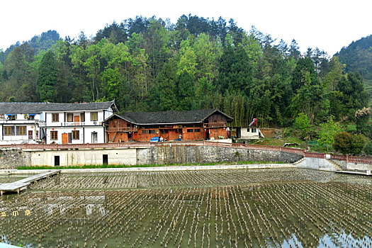 贵州凤冈,山村静美