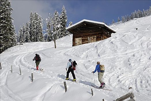 登山者,向上,高山,顶峰,滑雪