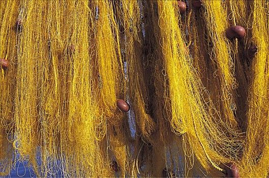 黄色,渔网,萨摩斯岛,希腊,欧洲