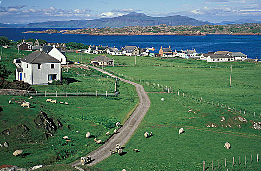 苏格兰,岛,田园,场景