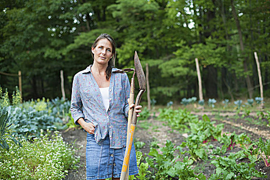 女人,工作,有机,花园,站立,农作物,拿着,锹,锄