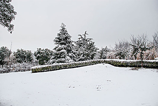 冬日雪景