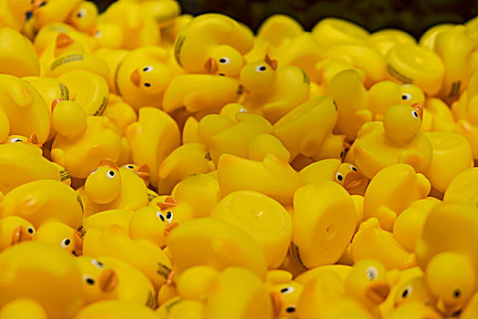 黄色,塑料制品,鸭子