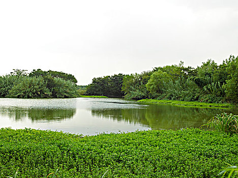 杭州西溪湿地