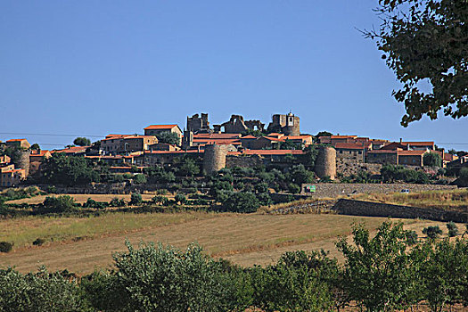 遗址,13世纪,城堡,靠近,山