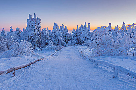 积雪,冬季风景,小路,黎明,格罗塞尔,法兰克福,黑森州,德国
