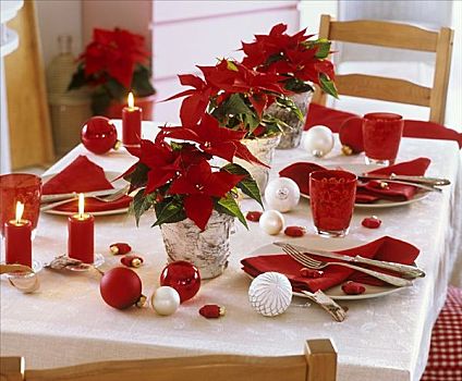 圣诞桌,装饰,一品红,小玩意