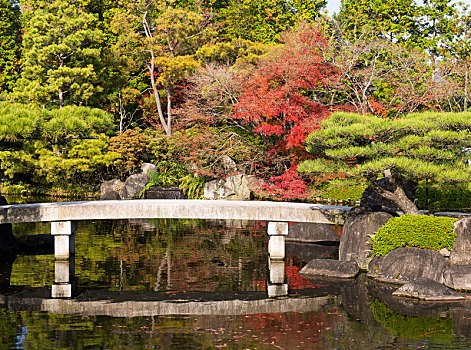 日本,秋天,花园