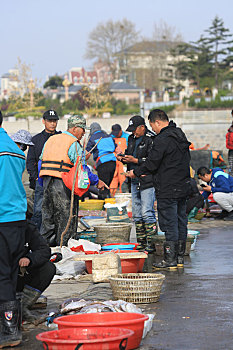 山东省日照市,休渔期进入倒计时,渔码头开启抢鲜模式