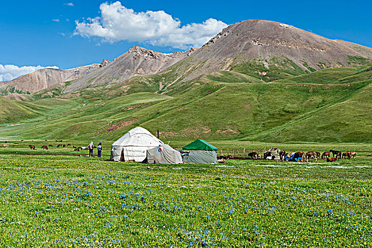 游牧,蒙古包,露营,歌曲,湖,省,吉尔吉斯斯坦,中亚,亚洲