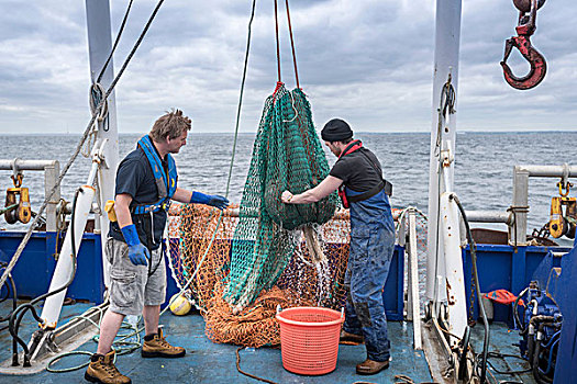 渔民,科学家,带来,拖船,网,甲板,研究,船