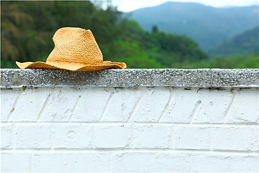 藤条,帽子,墙壁