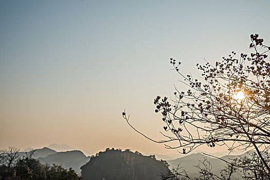 鸟群,天空,飞翔,满天,山,岛,船