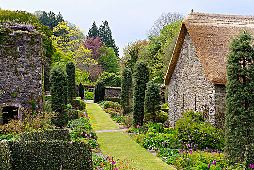 花园,房子,靠近,普利茅斯,德文郡,英格兰,英国