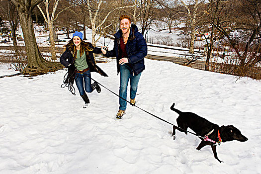 年轻,情侣,跑,狗,雪,中央公园,纽约,美国