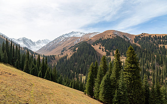 风景