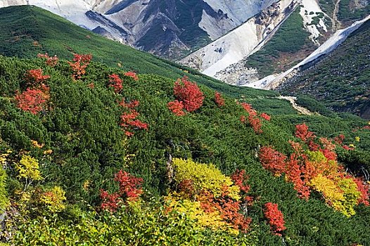 秋叶,山,水疗