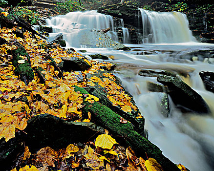 美国,宾夕法尼亚,州立公园,厨房,溪流,瀑布,秋天,大幅,尺寸