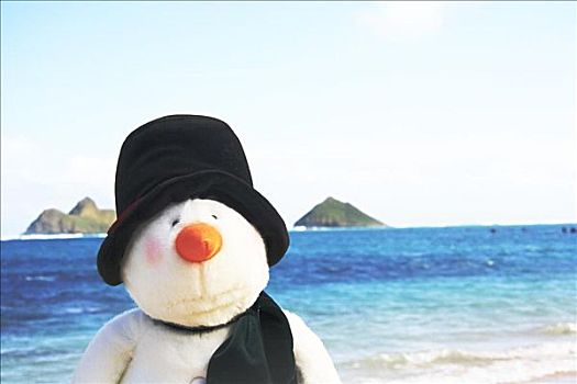 夏威夷,瓦胡岛,圣诞节,场景,雪人,娃娃,海滩,莫库鲁阿岛,岛屿,后面