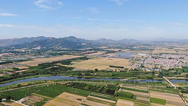 山东省日照市,绿水环绕万亩麦田,蓝天白云映衬下的金色土地让人喜不自禁