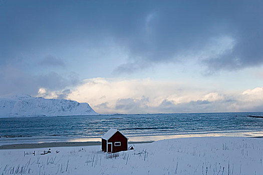 小屋,冬天,岸边,岛屿,罗浮敦群岛,挪威