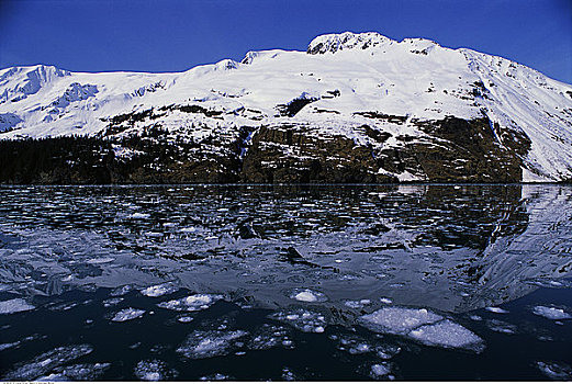海冰,阿拉斯加,美国