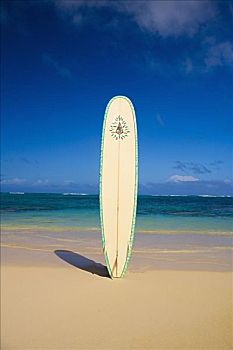 冲浪板,困住,沙子,热带沙滩