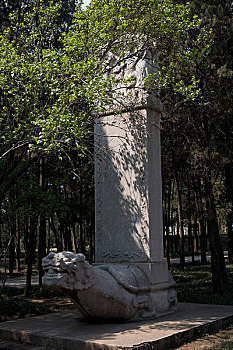 香山植物园内的石龟驼石碑