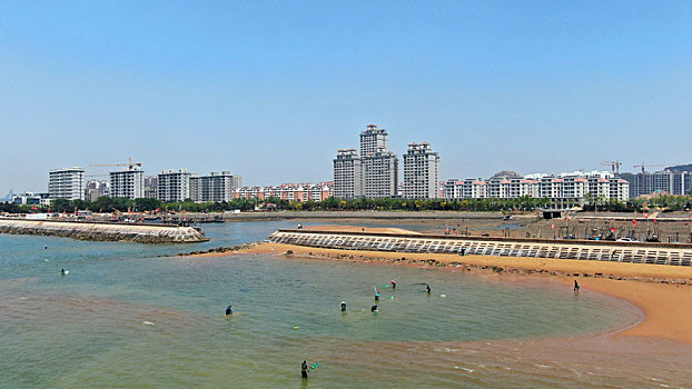 山东省日照市,五一假期赶海忙,渔民穿着皮裤在海里扒蛤蜊