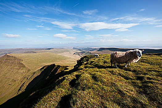 风景,畜栏,布雷肯灯塔国家公园,波厄斯郡,威尔士,英国