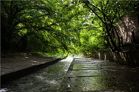 水泥,河床,堤岸,河