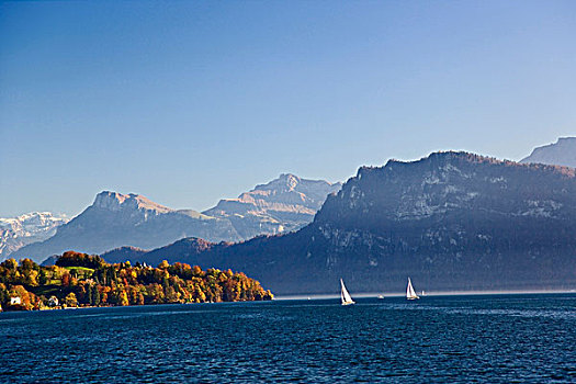 帆船,琉森湖,秋色,瑞士