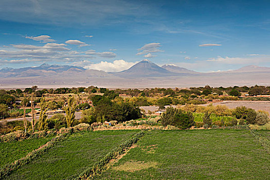 智利,阿塔卡马沙漠,佩特罗,风景,恰卡布科,火山