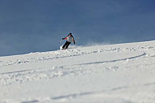 滑雪,自由,乘,下坡,冬天,漂亮,晴天
