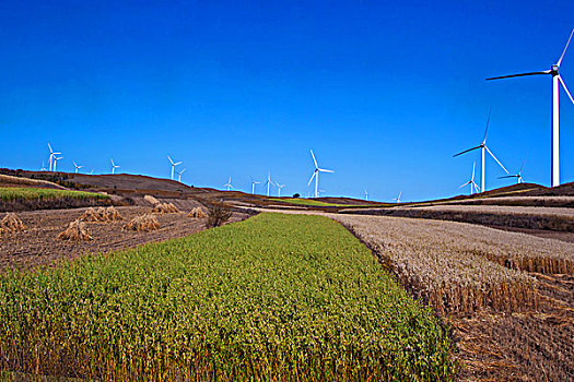 山坡山的风力发电站