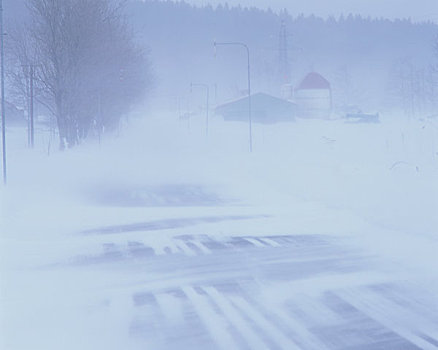 道路,暴风雪