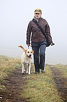 女人,走,黄色拉布拉多犬,狗,下雨,鼻子,山,公园,卡尔加里,艾伯塔省,加拿大