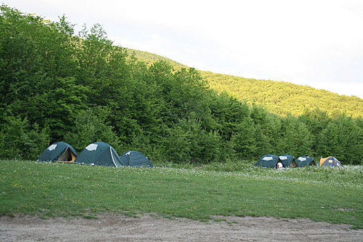 旅游,帐篷,树林,营地