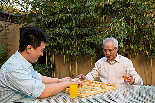 父子在庭院里下棋