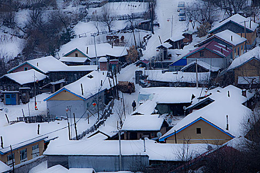 雪乡,雪村,吉林,临江市,村庄,山村,乡村,冬季,雪野,寒冷,农家,接待,旅游,松岭,东北,风情