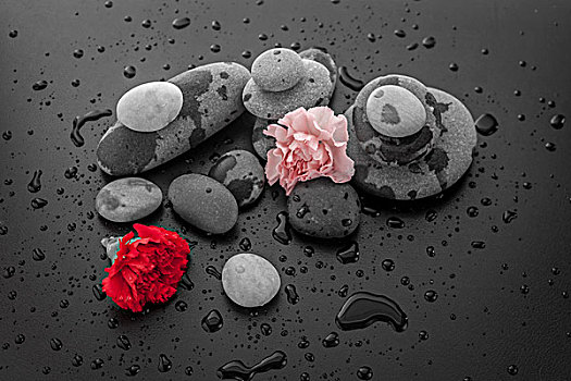 水滴,石头,花,宁和,禅,图像