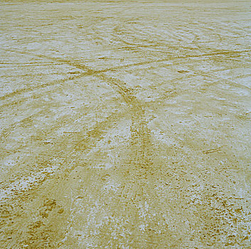 全画幅,海滩,表面,特写,多,小路,轮胎,嵌入,层次,沙子,阿塞拜疆,八月,2009年