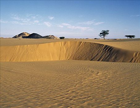 魅力,沙漠,景色,东北方,苏丹,延展,撒哈拉沙漠