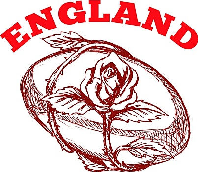 英格兰,橄榄球,英伦玫瑰,花