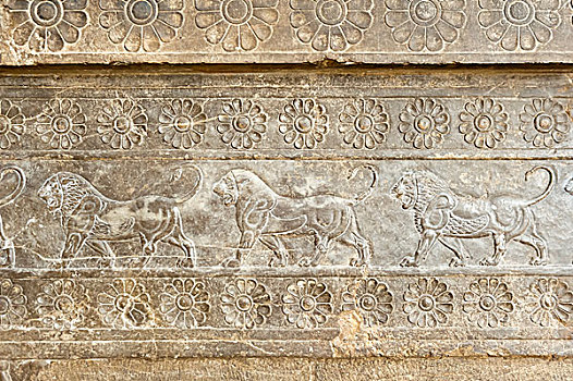 古老,浮雕,檐壁,考古,古物,城市,波斯波利斯,花,三个,狮子,国家博物馆,伊朗,德黑兰,亚洲